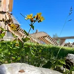 Velika Planina With Sauna - I Feel Alps Stahovica