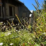 Velika Planina With Sauna - I Feel Alps Ferienhaus