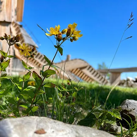 Velika Planina With Sauna - I Feel Alps Stahovica