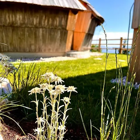 Velika Planina With Sauna - I Feel Alps Ferienhaus Stahovica