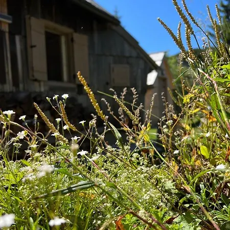 Velika Planina With Sauna - I Feel Alps Dom wakacyjny