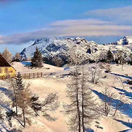 Chalet Velika Planina - I FEEL ALPS Počitniška hiša
