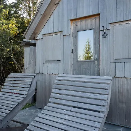 Velika Planina With Sauna - I Feel Alps Stahovica