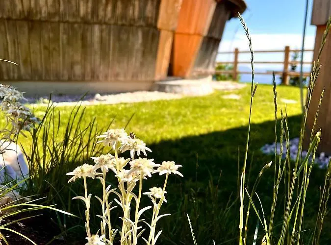 Velika Planina With Sauna - I Feel Alps Vakantiehuis Stahovica