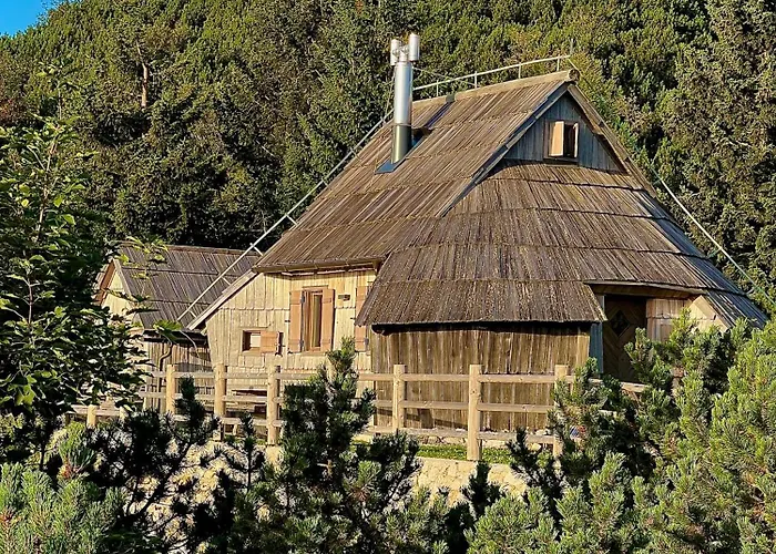 Velika Planina With Sauna - I Feel Alps Stahovica